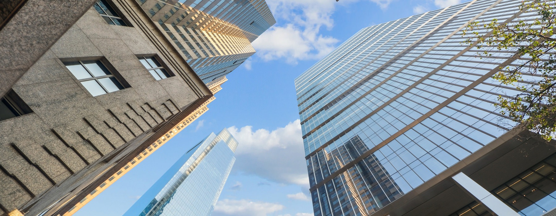 buildings reaching into the sky